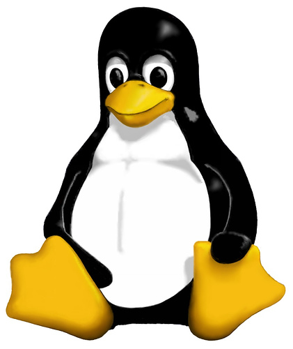 Linux/Windows Server